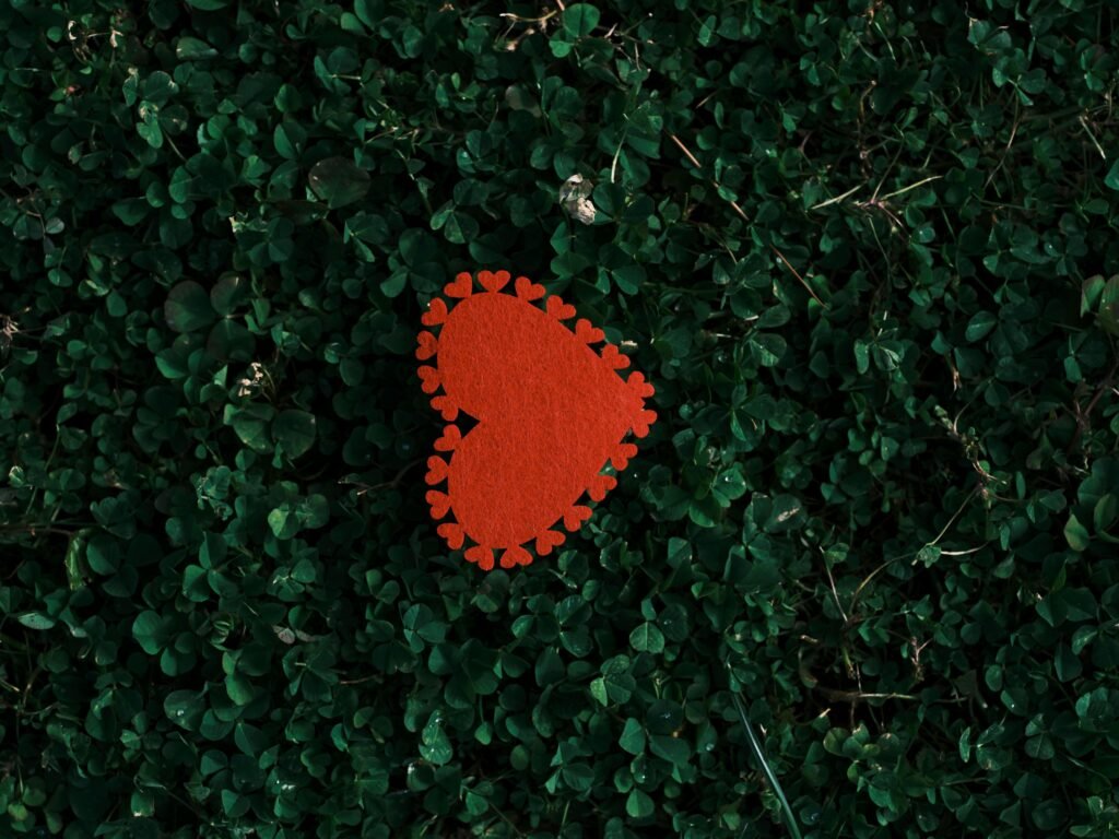 A vibrant red heart placed on green clover leaves, symbolizing love and nature.